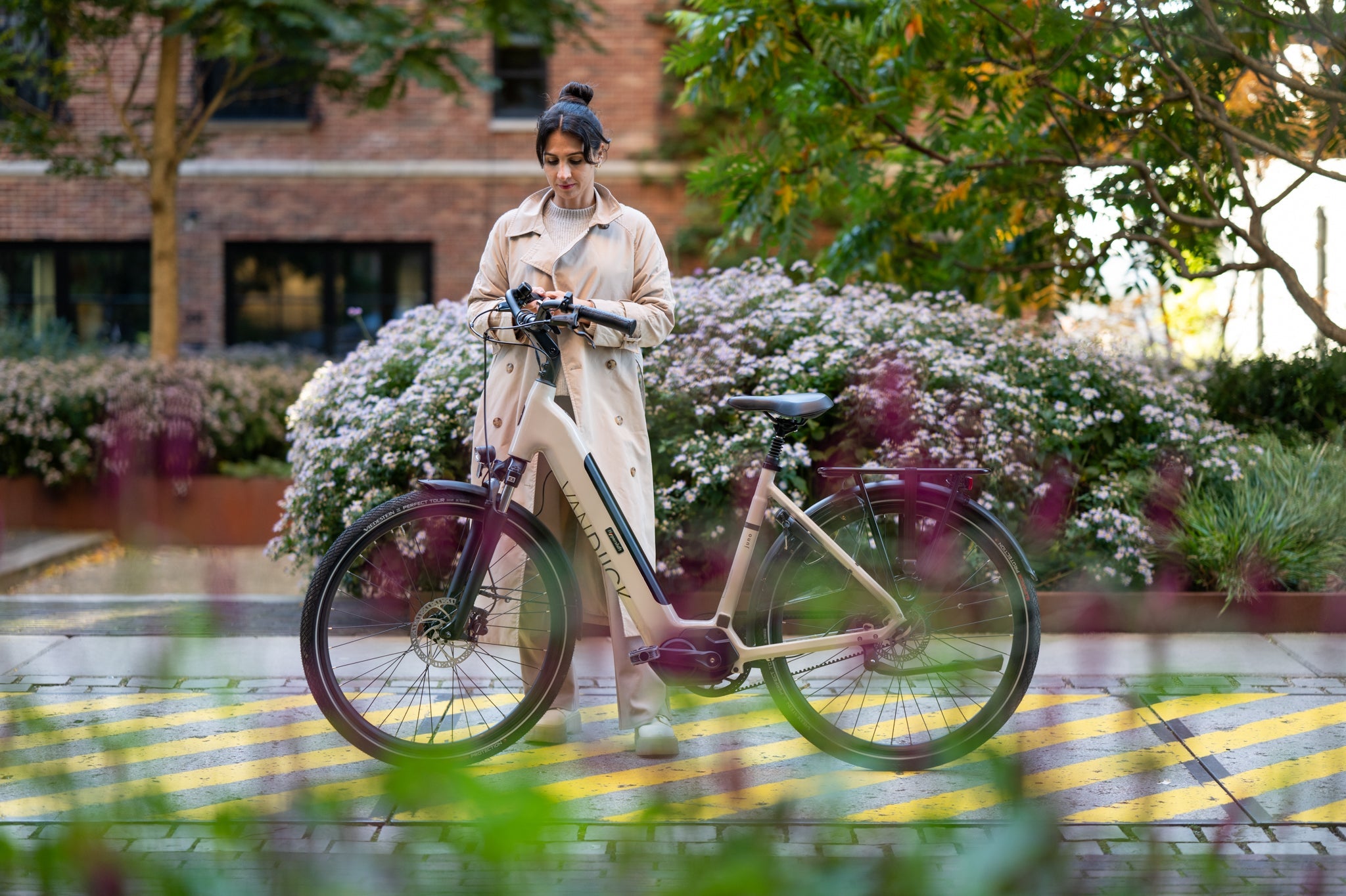 Champagne elektrische fietsen – VanDijck E-bikes, image size:2048x1365