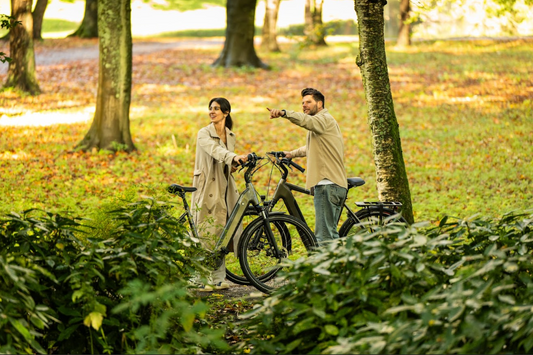 Hippe elektrische fietsen
