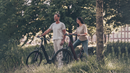Lichte elektrische fietsen
