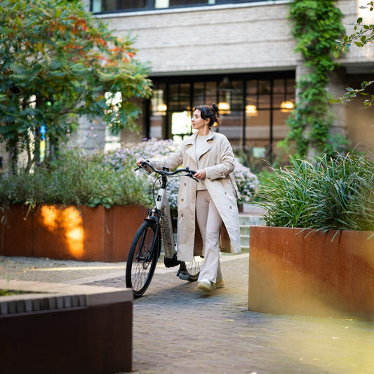 Elektrische damesfietsen