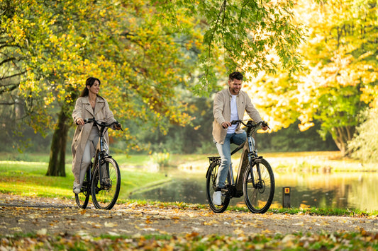 Elektrische fietsen voor lange ritten