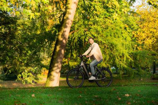 Stoere elektrische fiets