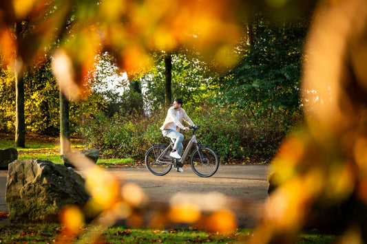 Elektrische fiets met grote actieradius