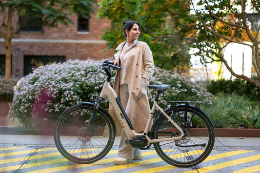 Bronzen elektrische fietsen