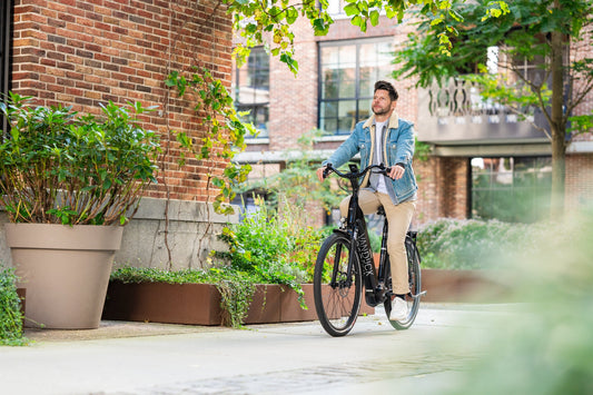 Elektrische herenfietsen